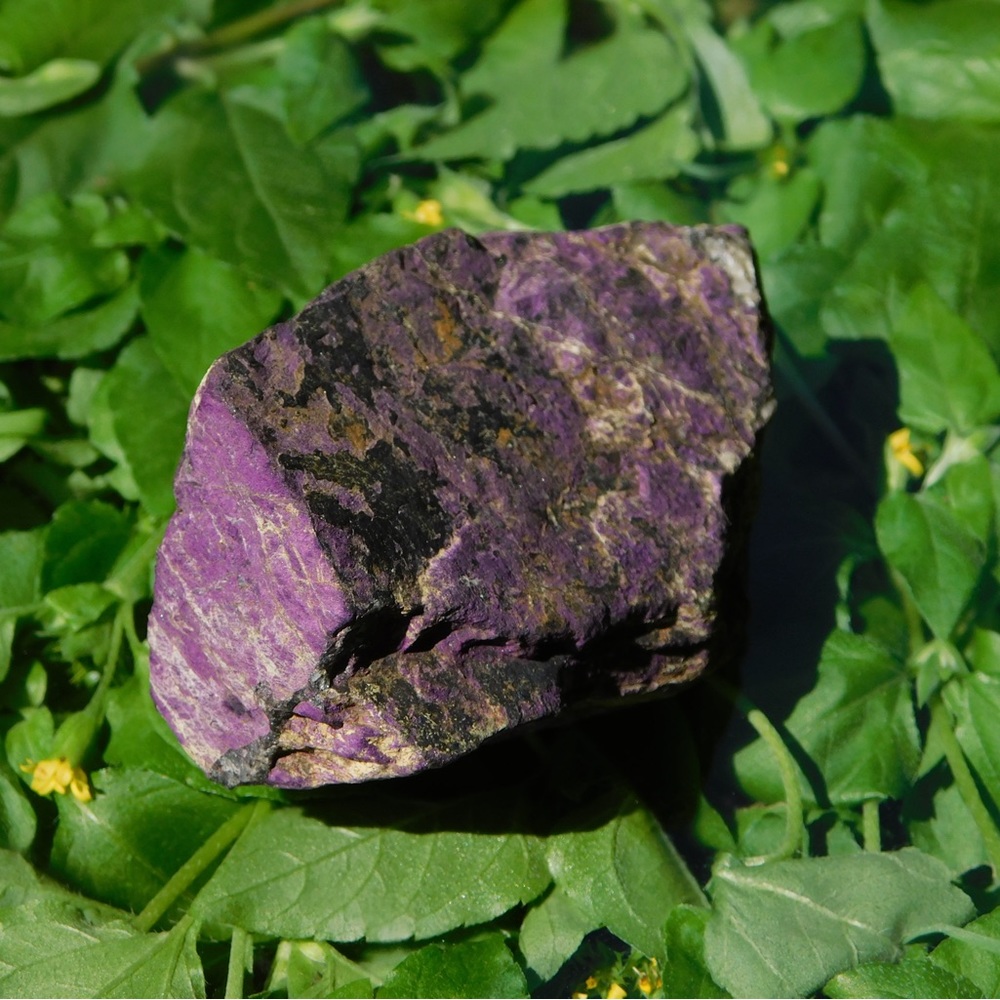 Purpurite